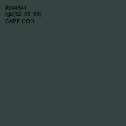 #344541 - Cape Cod Color Image